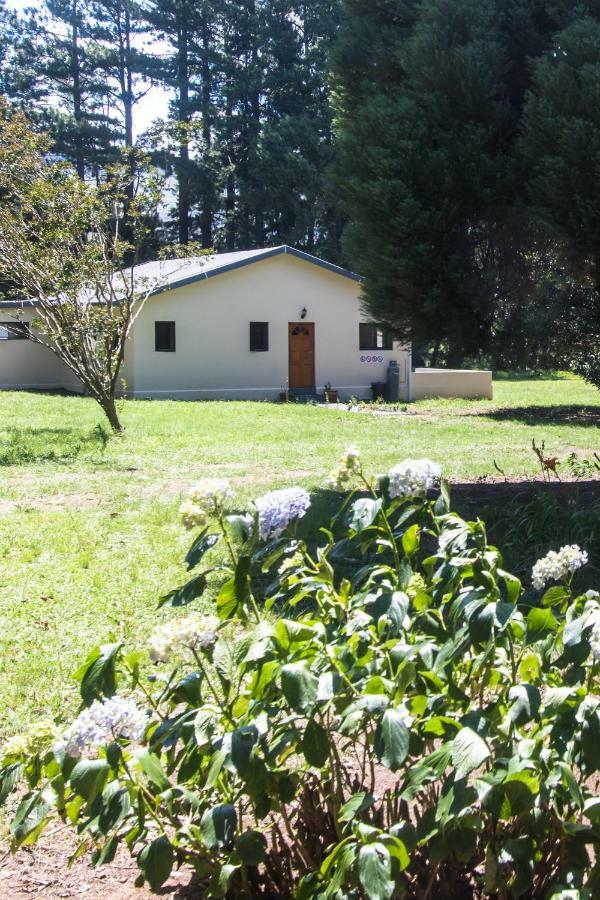 Kamberg Valley Hideaway Rev Estates Kültér fotó
